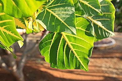 万代南梦宫成立新游戏代工团队 与任天堂合作密切